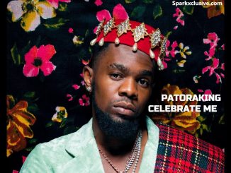 Patoranking – Celebrate Me