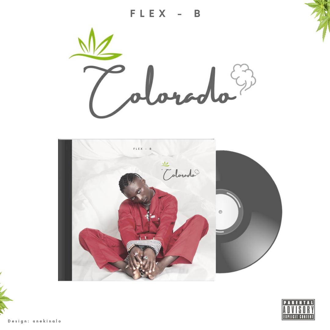 Flex B – Colorado mp3 download