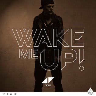 Avicii - Wake Me Up mp3 download