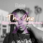 Divine Sounds & Ubuntu Brothers – The One (Elaine Remix)