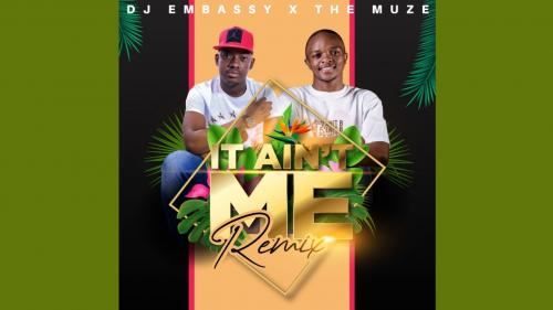 Dj Embassy, Muze – It Ain’t Me (Remix) mp3 download