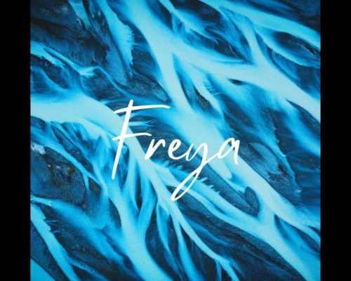 Dwson – Freya (Original Mix) mp3 download