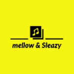 Mellow & Sleazy – Sebono Sa Selina (Shaker Smart) mp3 download