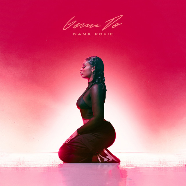 Nana Fofie – Gonn Do Ft. Vincent Vianen mp3 download