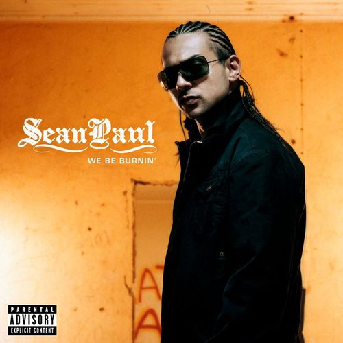 Sean Paul - We Be Burnin' (Recognize It) mp3 download