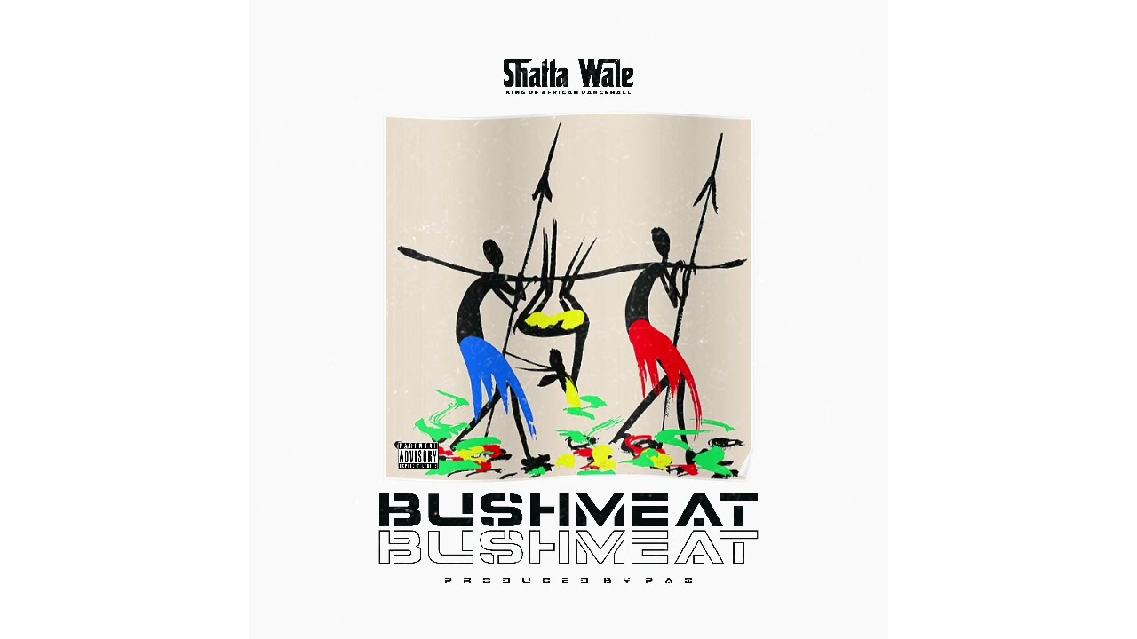Shatta Wale – Bushmeat mp3 download