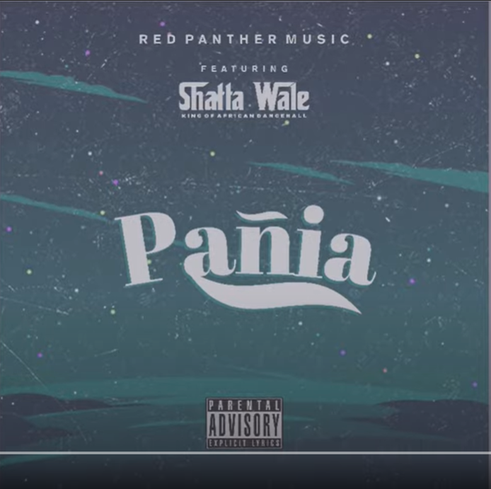 Shatta Wale – Pania mp3 download