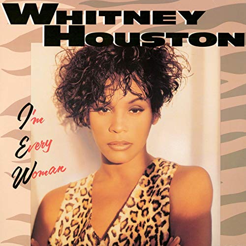Whitney Houston - I'm Every Woman mp3 download