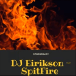 DJ Eirikson – SpitFire mp3 download