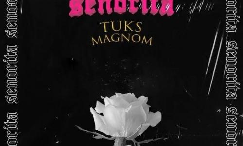 Magnom x Tuks – Senorita mp3 download