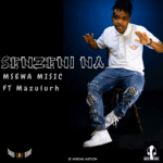 Msewa Music – Senzeni Na Ft. Mazulurh The Vocalist mp3 download