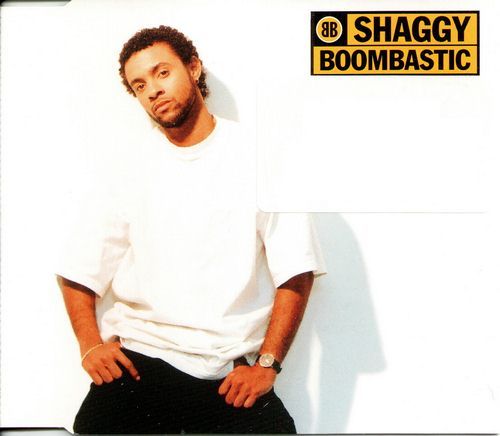 Shaggy – Boombastic + Remix