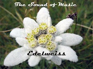 The Sound of Music – Edelweiss