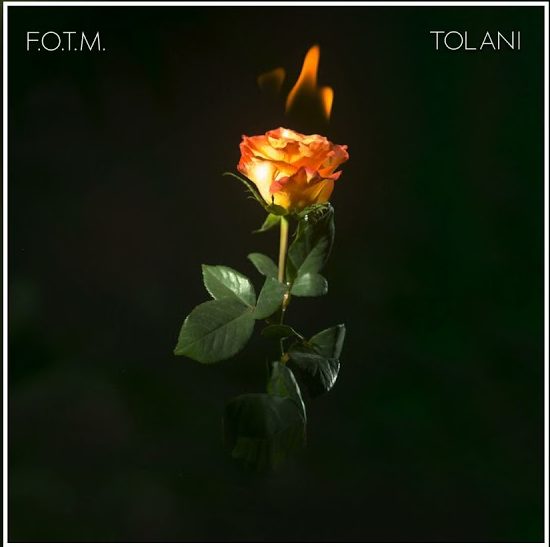 Tolani – Fire On The Mountain mp3 download