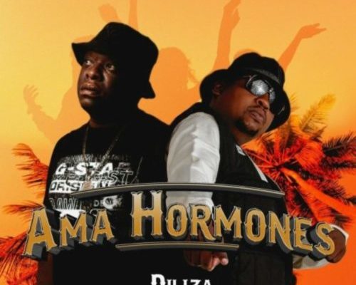 Diliza – Ama Hormones Ft. Professor mp3 download