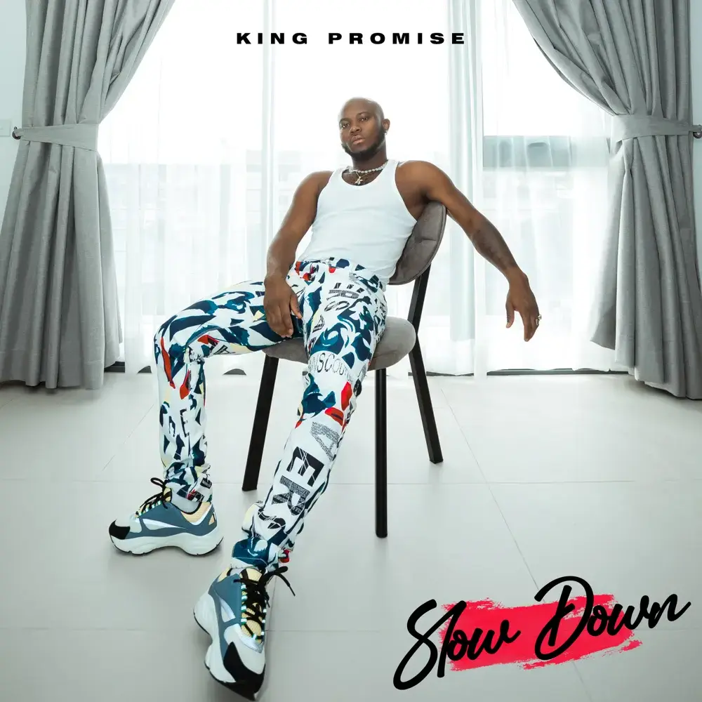 King Promise – Slow Down (Remix) Ft. Maleek Berry mp3 download