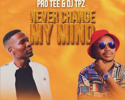 Pro-Tee & DJ TPZ – Never Change (Original-Mix) mp3 download