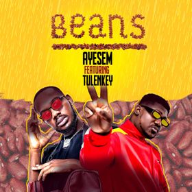 Ayesem Ft. Tulenkey – Beans mp3 download