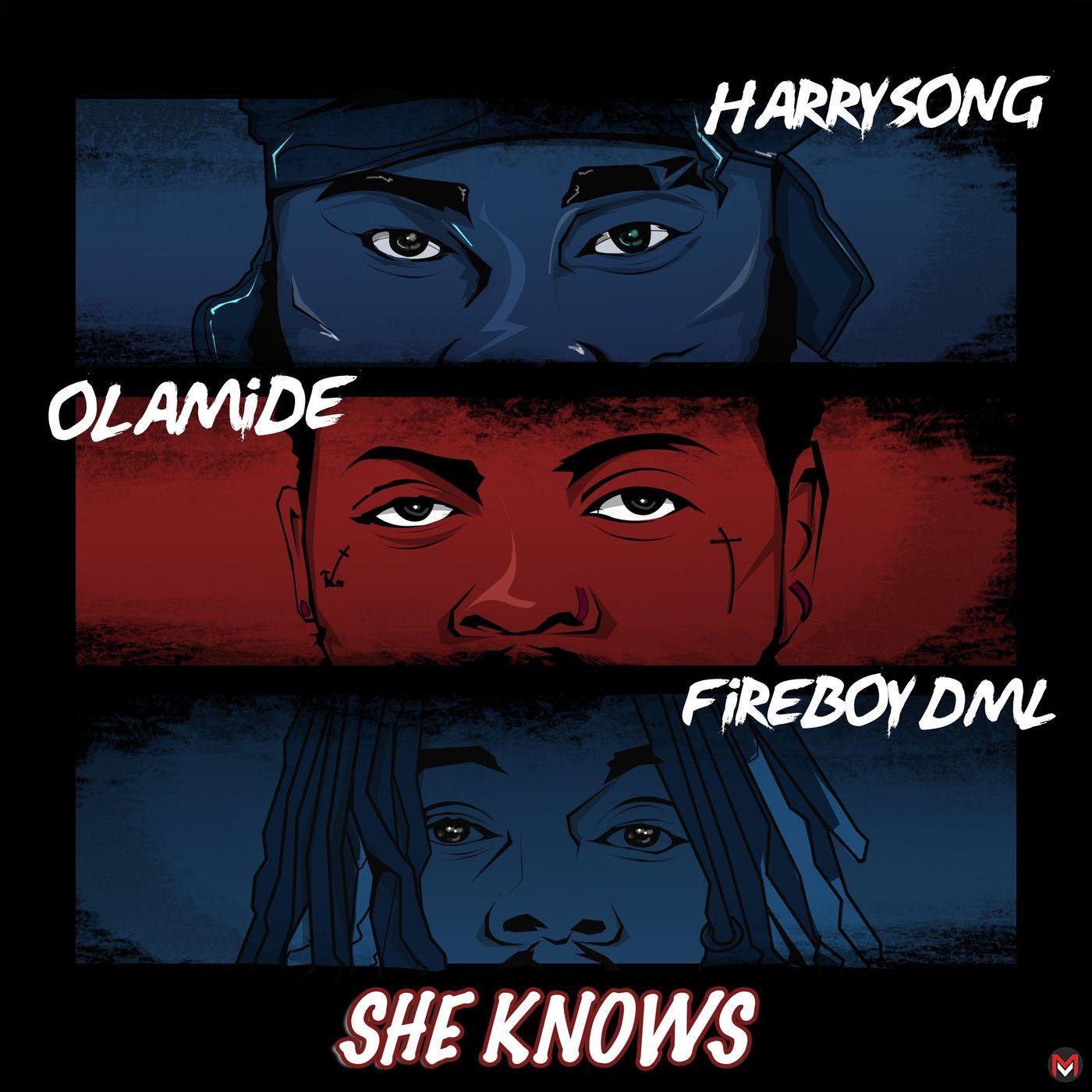 Harrysong – She Knows Ft. Fireboy DML, Olamide mp3 download