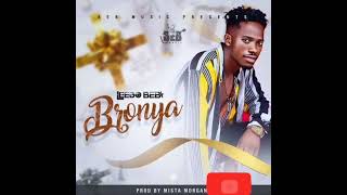 Leedo Beb – Bronya mp3 download