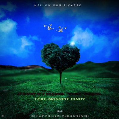 Mellow Don Picasso – Everything You Need Ft. Mo$hpit Cindy mp3 download