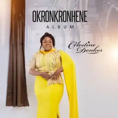 ALBUM: Celestine Donkor – Okronkronhene