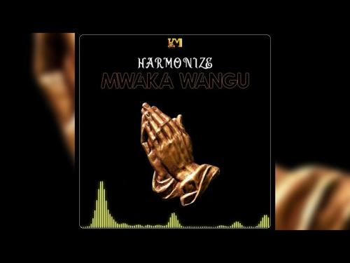 Harmonize – Mwaka Wangu mp3 download
