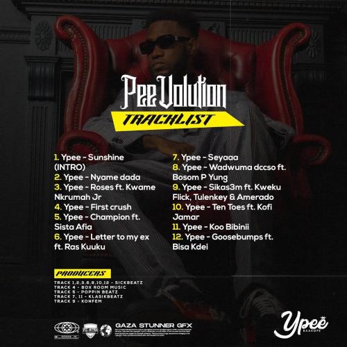   Ypee – PeeVolution mp3 download