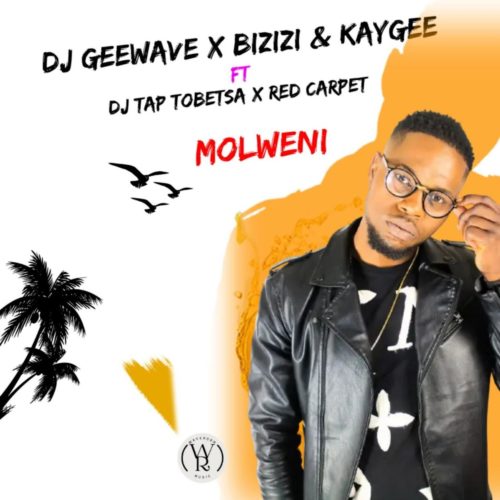DJ Geewave, Bizizi & KayGee - Molweni Ft. DJ Tap Tobetsa, Red Carpet mp3 download