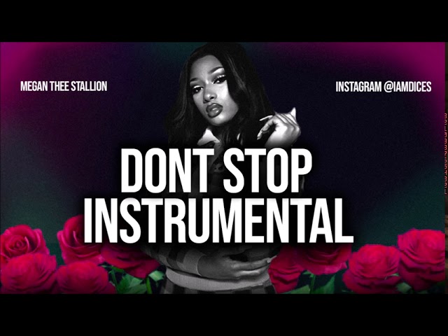 Megan Thee Stallion – Don’t Stop Ft. Young Thug (Instrumental)