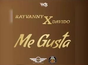 Rayvanny - Me Gusta Ft. Davido mp3 download
