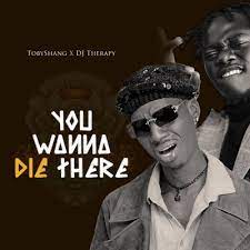 Toby Shang - You Wanna Die There Ft. DJ Therapy mp3 download