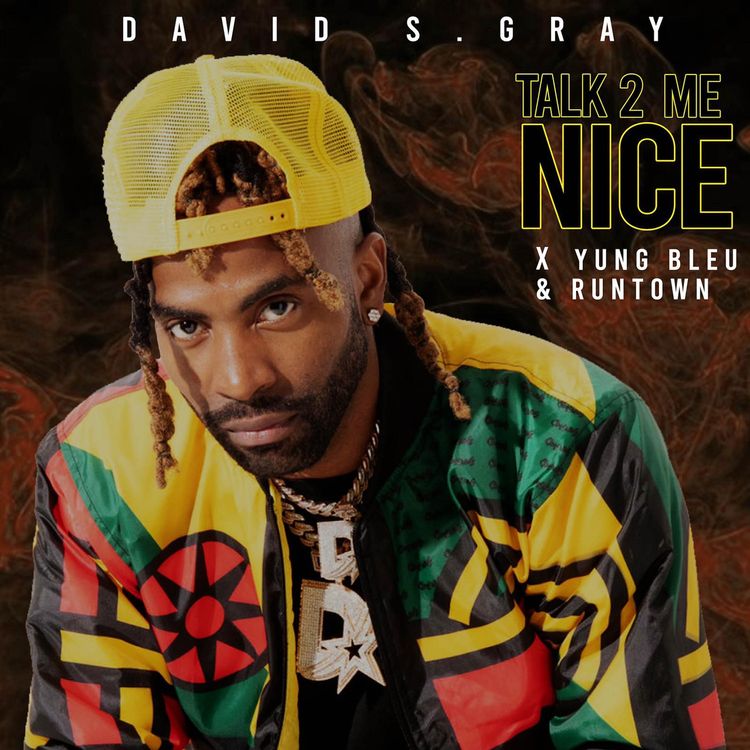 David S Gray & Yung Bleu - Talk 2 Me Nice Ft. Runtown mp3 download