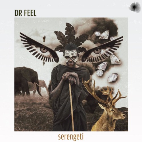 Dr Feel - Serengeti EP mp3 download