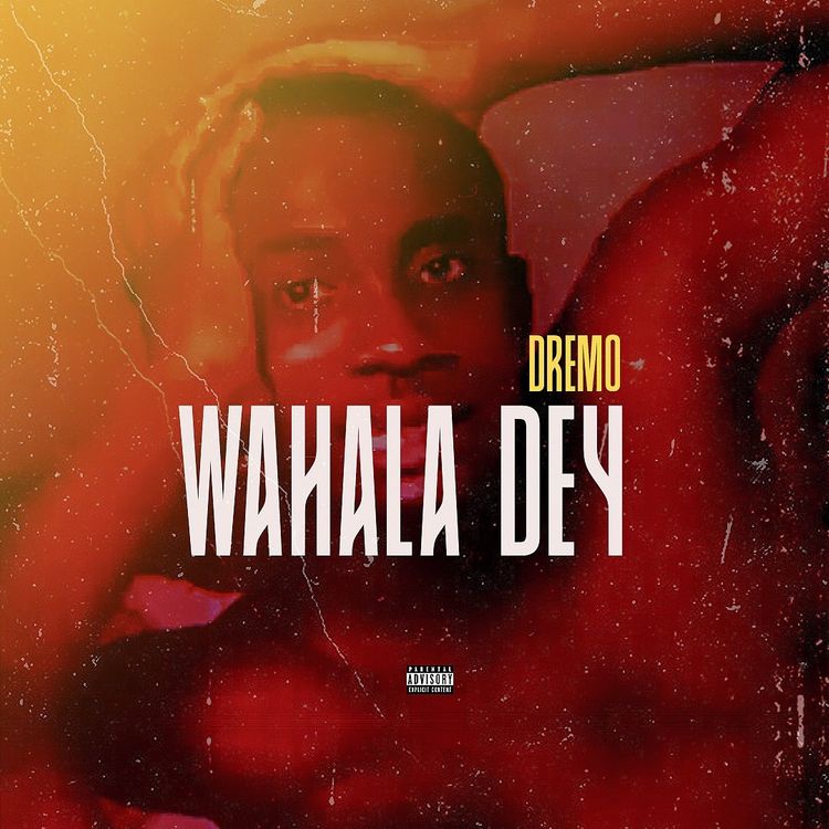 Dremo - Wahala dey mp3 download