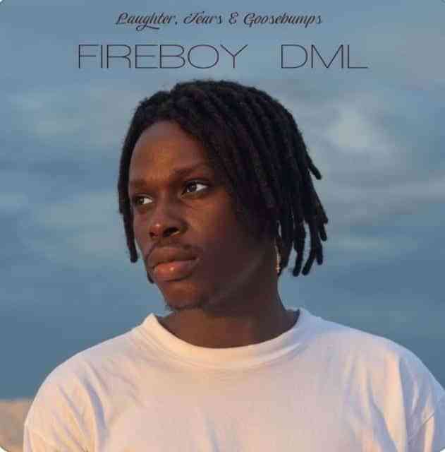 Fireboy DML - Vibration mp3 download