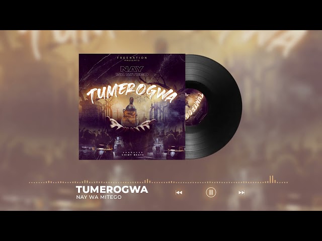 Nay Wa Mitego - Tumerogwa mp3 download