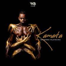 Download Instrumental: Diamond Platnumz - Kamata (Beat By MeddyBeats)