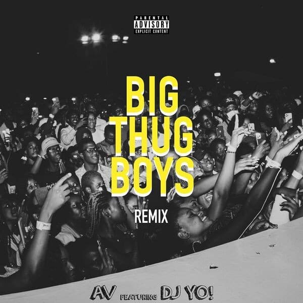 AV - Big Thug Boys (Remix) Ft. DJ Yo mp3 download