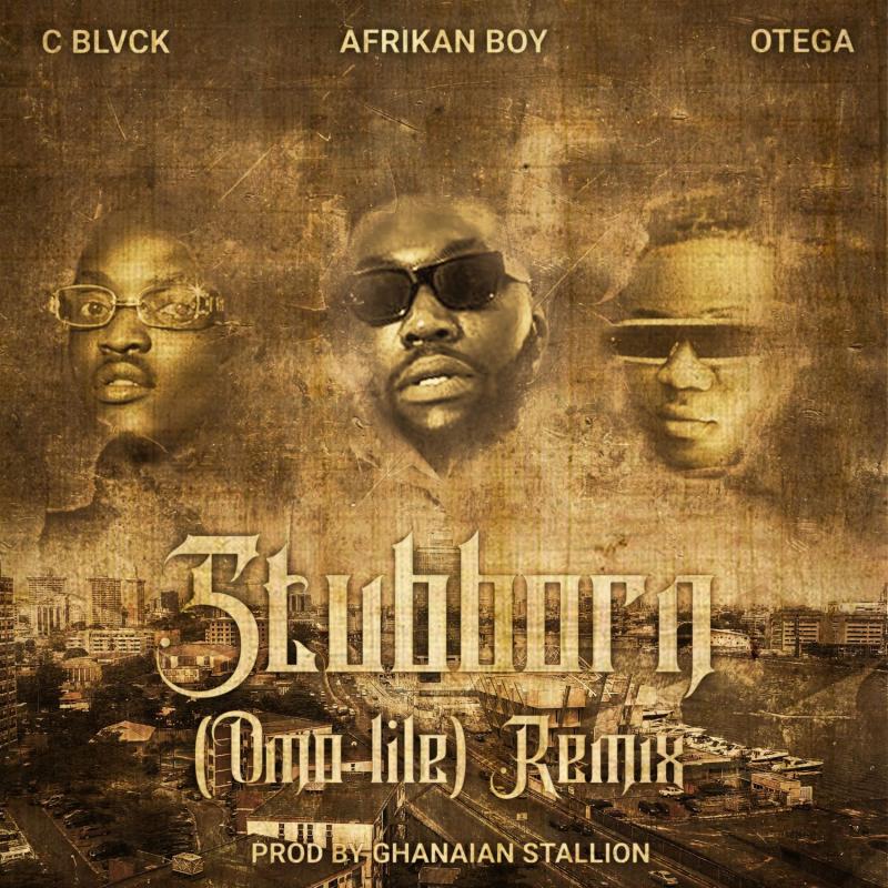 Afrikan Boy - Stubborn (Omo Lile) (Remix) Ft. C Blvck, Otega mp3 download