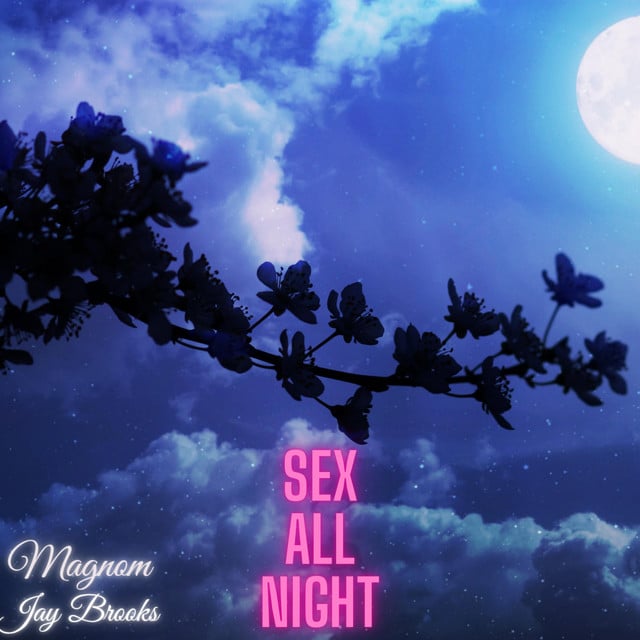 Magnom Ft. Jay Brooks - Sex All Night mp3 download