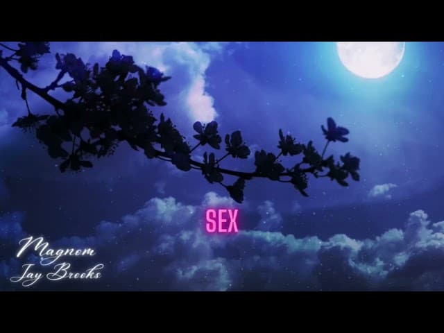 Magnom - Sex All Night Ft. Jay Brooks mp3 download