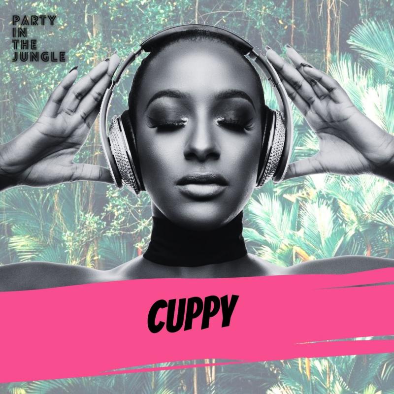 [Mixtape] DJ Cuppy – Party In The Jungle Mix