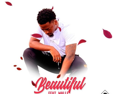 Mvzzle – Beautiful Ft. Malle mp3 download