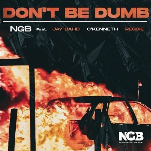 NGB Ft. Jay Bahd, O’Kenneth, Reggie - Don’t Be Dumb mp3 download