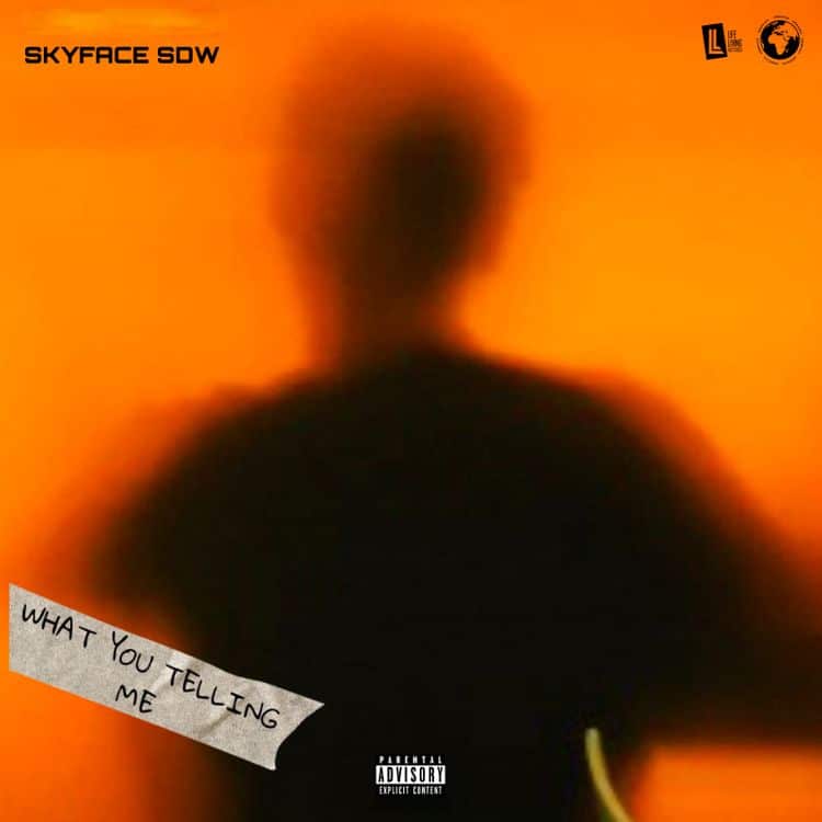Skyface SDW - What You Telling Me mp3 download