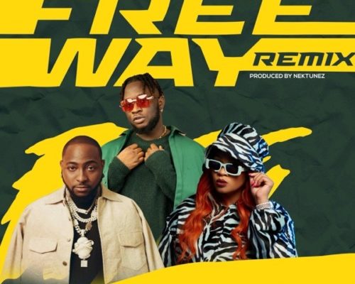 Tripsy, Lady Du, Davido & Nektunez – Freeway Ft. DJ Pee Raven (Remix) mp3 download