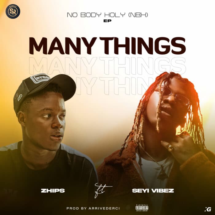 Zhips Ft. Seyi Vibez - Many Thing mp3 download