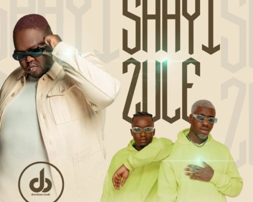 Heavy K – Shayi Zule Ft. Murumba Pitch  mp3 download