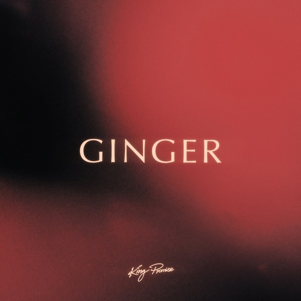 King Promise - Ginger mp3 download